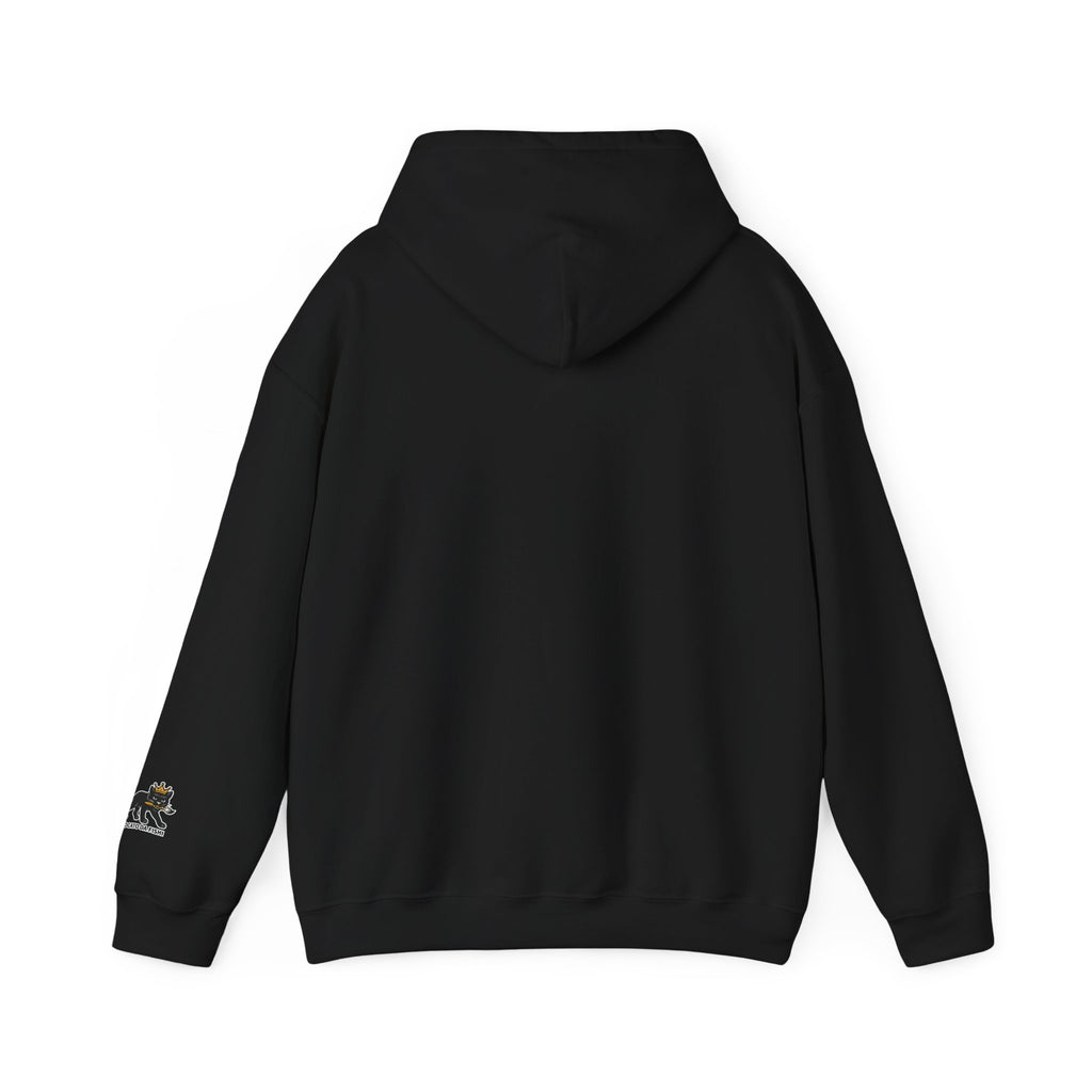 unisex hoodie for Everyday Comfort