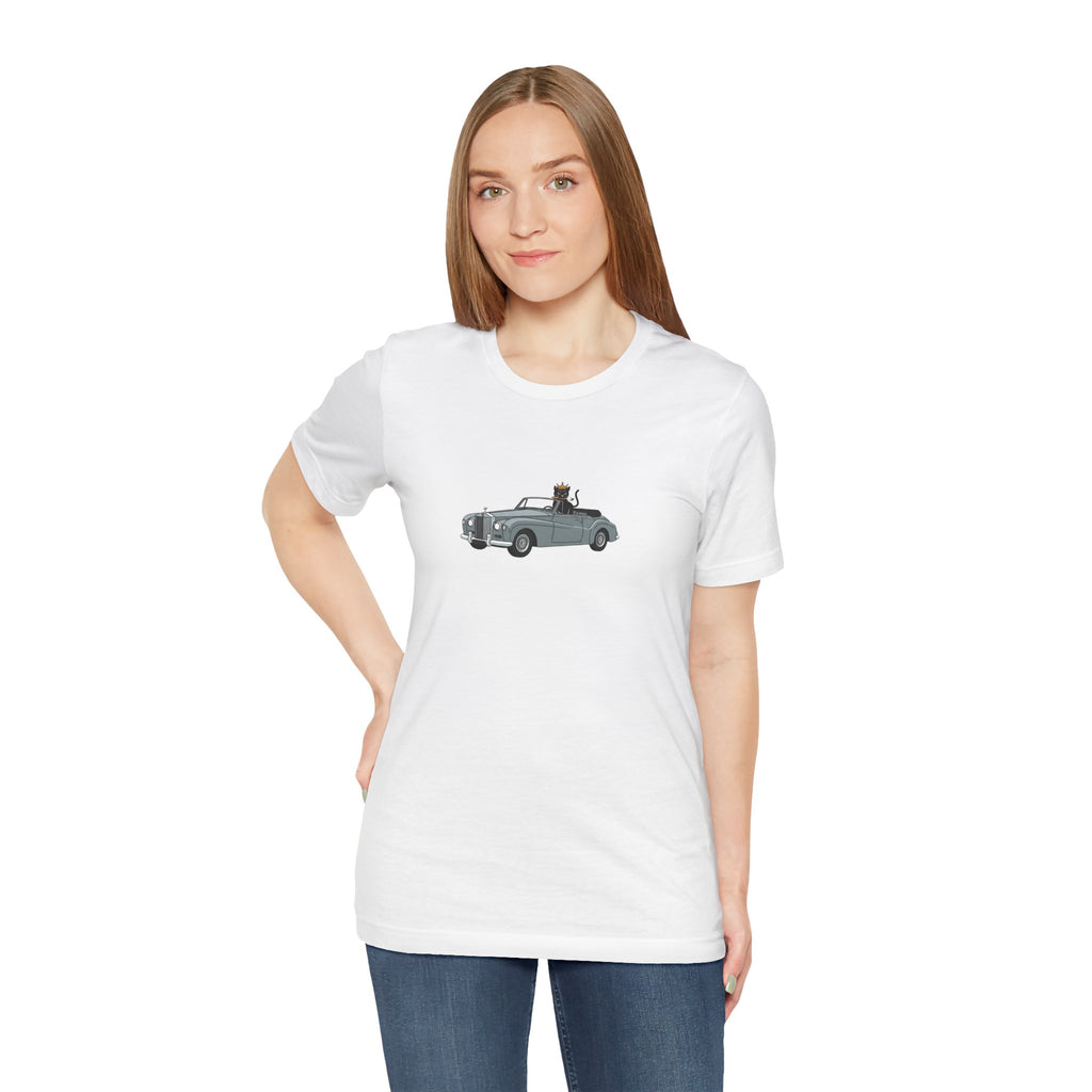classic car gray , high quality