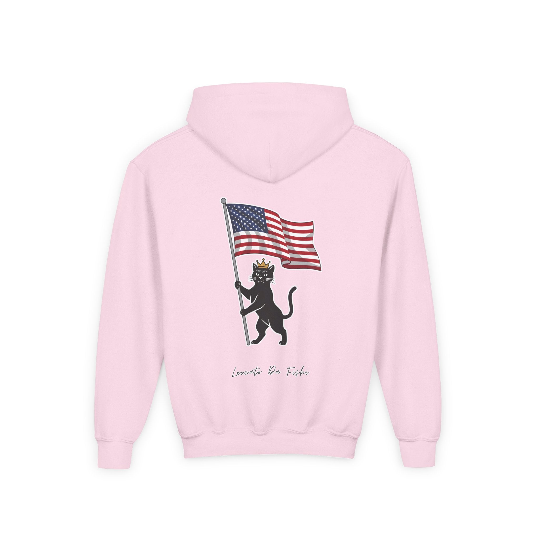 USA hoodie kids