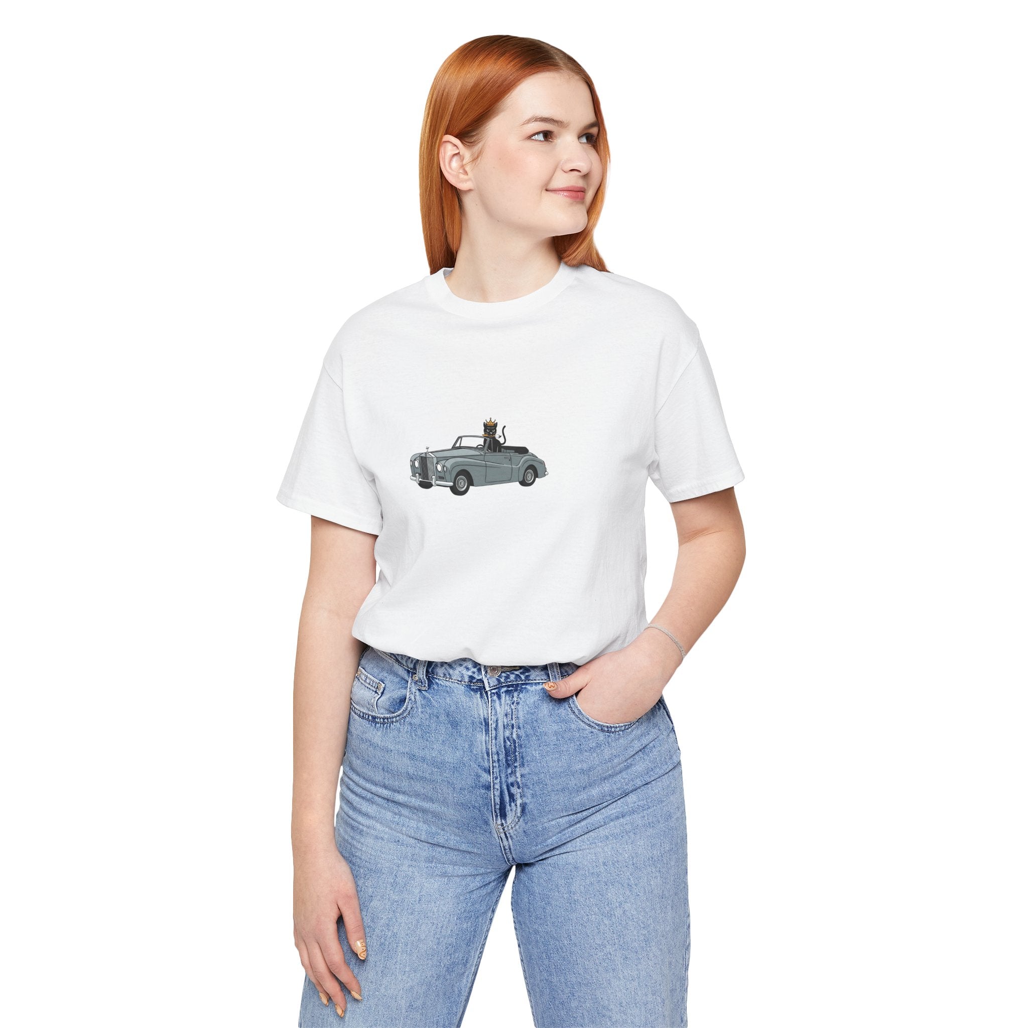 classic car gray , high quality
